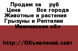 Продам за 50 руб. › Цена ­ 50 - Все города Животные и растения » Грызуны и Рептилии   . Ивановская обл.